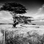 Landscaping... Another level